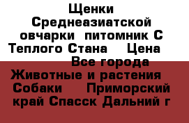 Щенки Среднеазиатской овчарки (питомник С Теплого Стана) › Цена ­ 20 000 - Все города Животные и растения » Собаки   . Приморский край,Спасск-Дальний г.